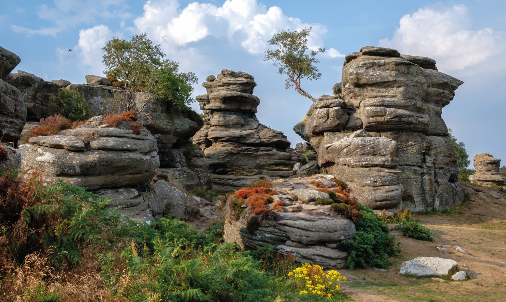 Brimham Rocks
